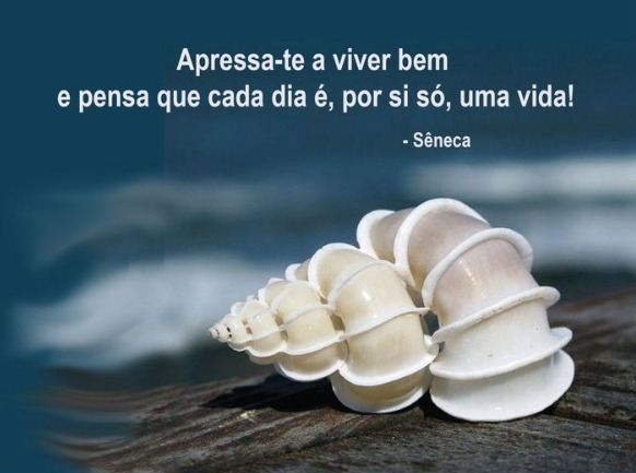 O Manual do bom viver!