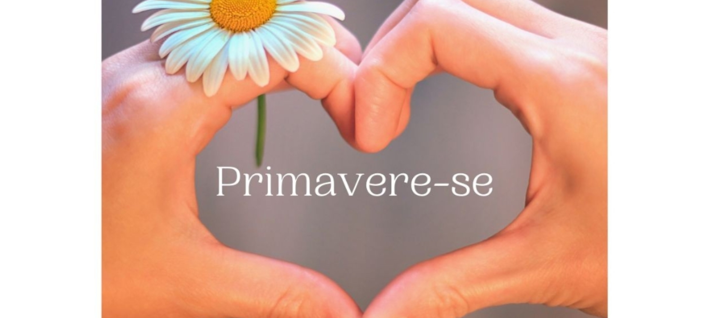 Primavere-se e faça a diferença