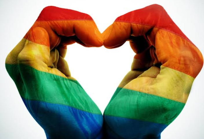Amizade Gay