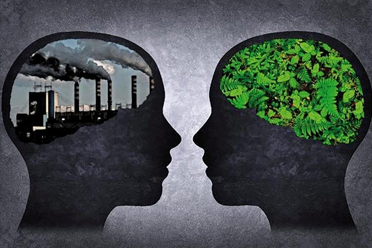 Meio Ambiente e Saúde Mental: qual a relação?