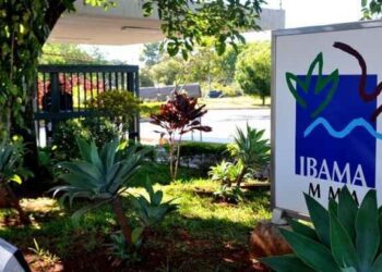 Nunca vá a um Órgão Ambiental sem o seu Consultor Ambiental