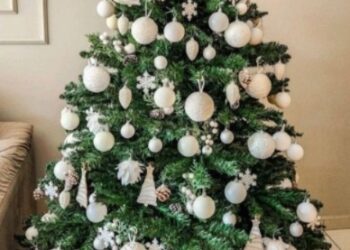 O que é o Natal, para você?