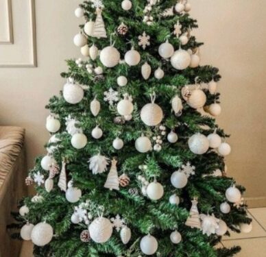 O que é o Natal, para você?