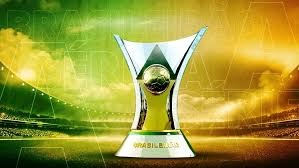 Botafogo ou Palmeiras quem será campeão brasileiro 2024?