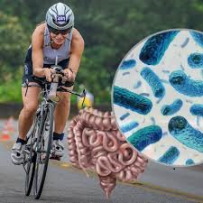 Exercício físico e saúde intestinal.