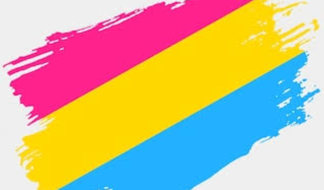 O que é Pansexual?