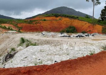 A escolha do profissional ambiental certo: um favor decisivo no sucesso do Licenciamento Ambiental