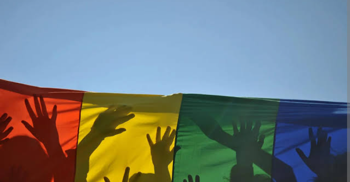 Simpatizantes LGBTQIA+
