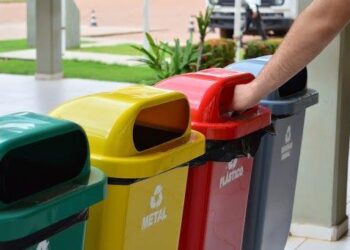 A importância de Segregar o Lixo para a Sustentabilidade Ambiental