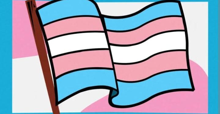 Visibilidade Trans