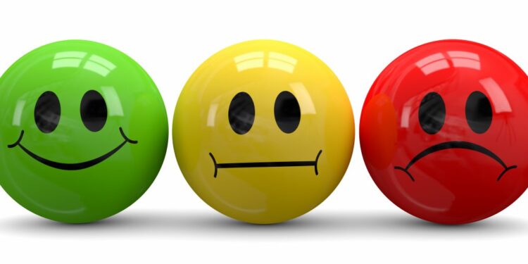 Porque a regulação emocional é importante?