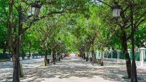 Como posso reduzir meu impacto ambiental morando em grandes cidades?