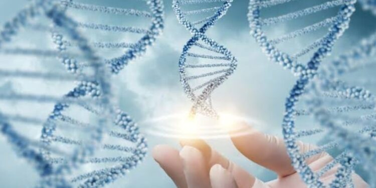 Epigenética: o poder de transformar além da genética