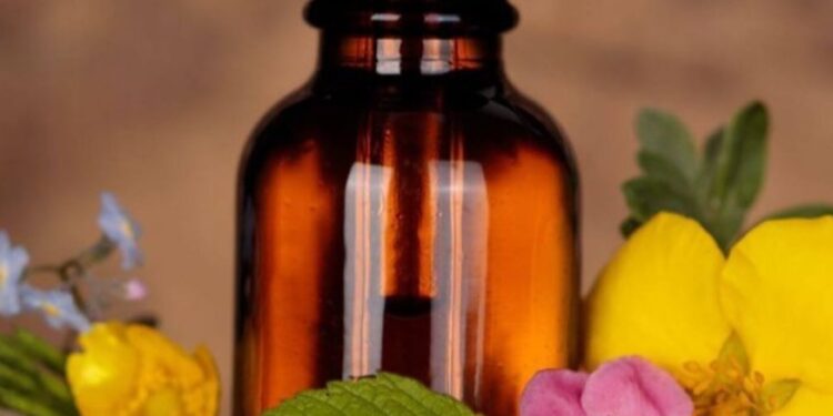 Fitoterapia X Terapia Floral: você sabe a diferença?