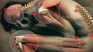 O Corpo Fala: Quando a Dor revela aquilo que a mente silenciou