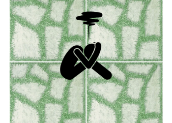 Sustentabilidade Não é (Só) Verde