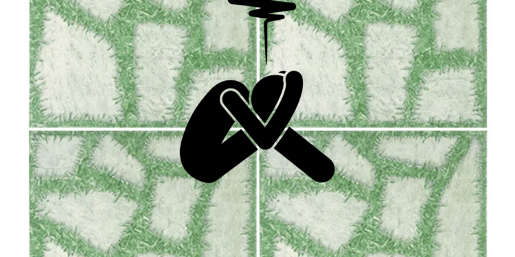 Sustentabilidade Não é (Só) Verde