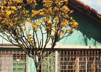 Casa não é Cenário: É Refúgio, É poesia em tempo real