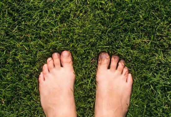Voltagem da Vida: o Corpo que esqueceu como se curar