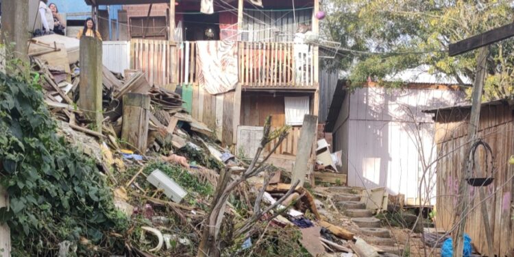 A Humanidade e o Meio Ambiente: Uma Relação Delicada