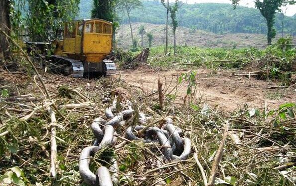 O Veto Presidencial à PL 2159/21: Avanço ou Meia-Medida?