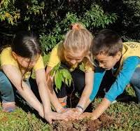 Sustentabilidade nas Escolas: Como Educar e ser Reeducado?