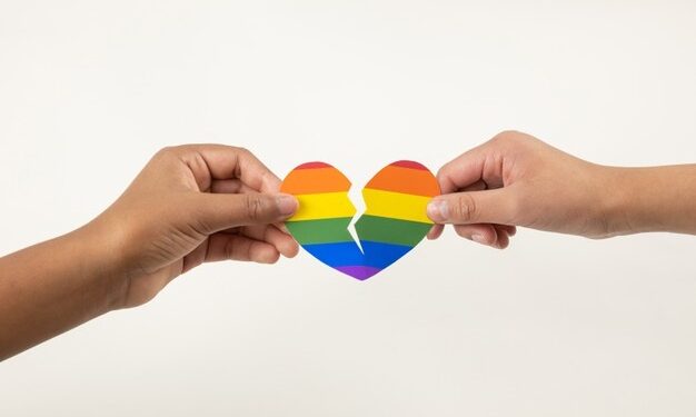 As partilhas de bens na separação de casais homoafetivos. Como se dar?