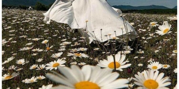 A mulher das Flores: o espelho da Primavera