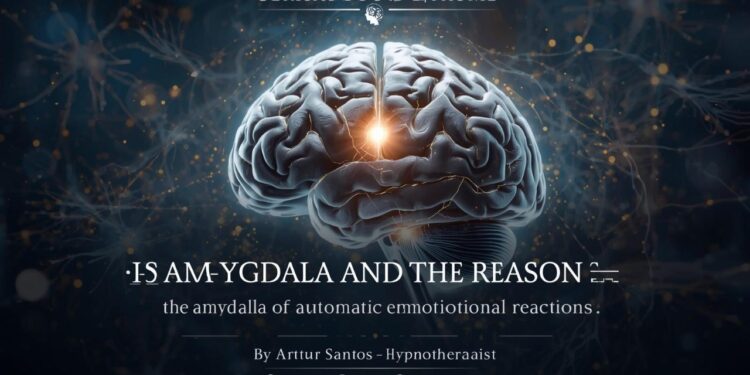 A Amígdala Cerebral e o Porquê das Reações Emocionais Automáticas