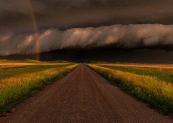 Enquanto a tempestade trabalha