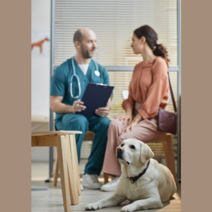 Cuidado, Empatia e delicadeza do médico/veterinário na transmissão de notícias delicadas sobre o estado de saúde do PET