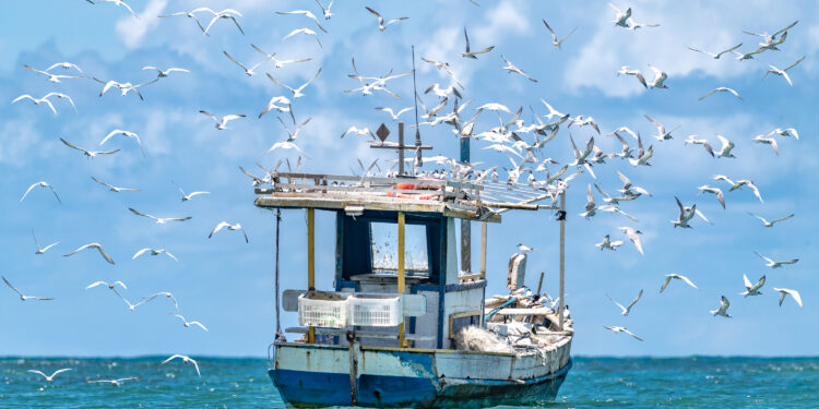 “Terramar”: Praia do Forte é tema de livro de fotógrafo premiado internacionalmente