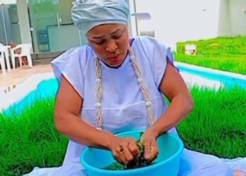 Quando o jogo revela cura espiritual através da natureza: folhas, águas e pedras