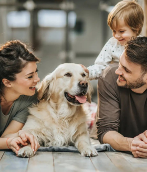 Quais os beneficios da visão sistêmica na Medicina Veterinária?