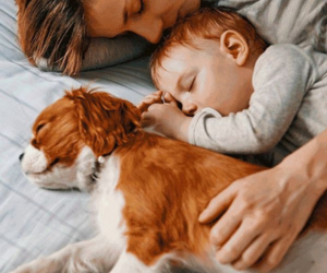 Os animais olham para a alma humana: eles percebem nossos vazios e permanecem até que possamos reagir