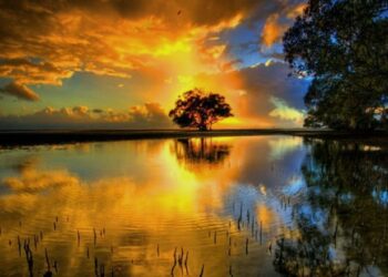 Siga o Fluxo da Vida