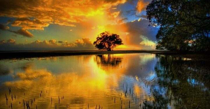 Siga o Fluxo da Vida