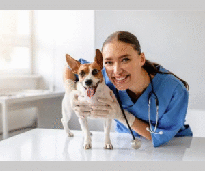 Como os Pet Shops podem ajudar os Tutores em Tempos de Crise?