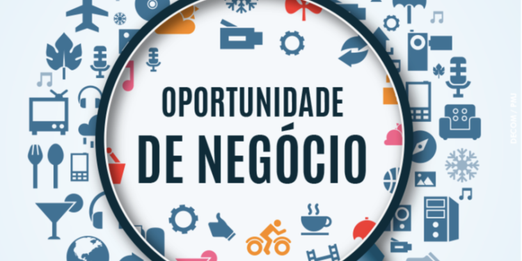 Transforme suas habilidades em Fontes de Renda: Descubra como Transformar Paixão e Competência em Negócios Lucrativos e Sustentáveis