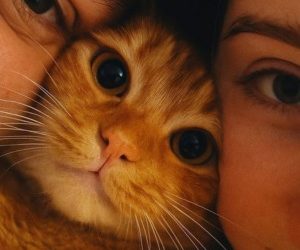 Os Animais ajudam a construir vínculos em Pessoas que sofrem abusos