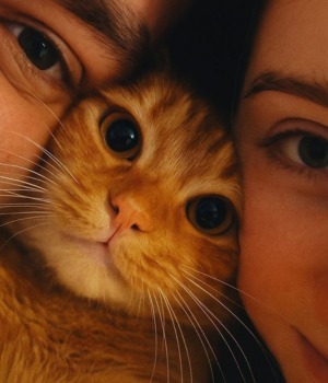 Os Animais ajudam a construir vínculos em Pessoas que sofrem abusos