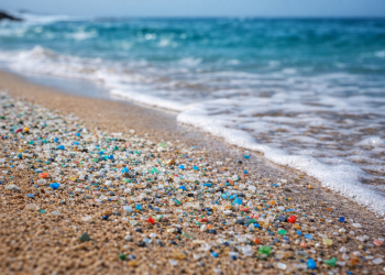 Microplásticos: o Lixo que some da vista, mas nunca vai embora