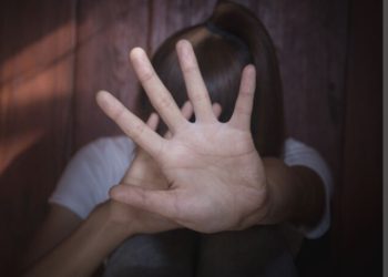 Guia dos Direitos das Mulheres Vítimas de Violência Doméstica