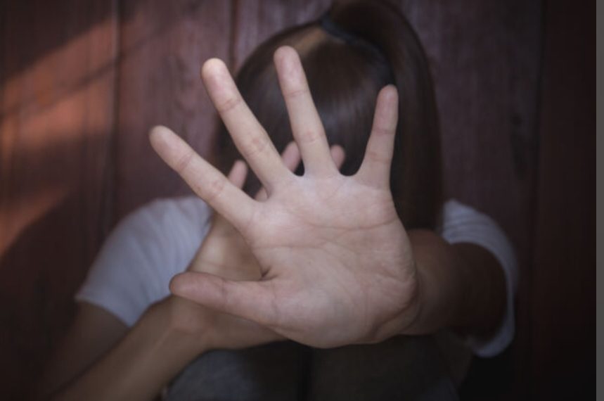Guia dos Direitos das Mulheres Vítimas de Violência Doméstica