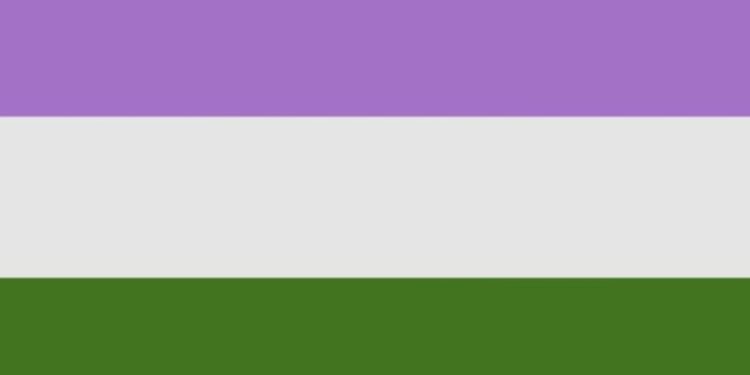 O que é Genderqueer?