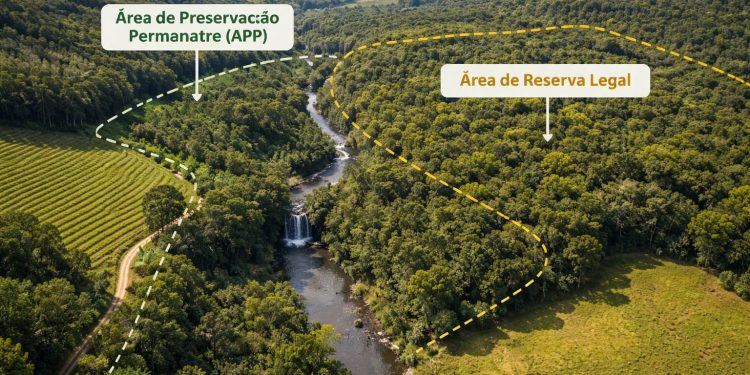 Breves Considerações sobre Área de Preservação Permanente (APP) e Reserva Legal