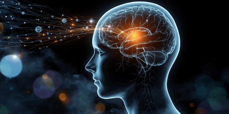 O cérebro não reage: Ele prevê e é isso que mantêm seus padrões