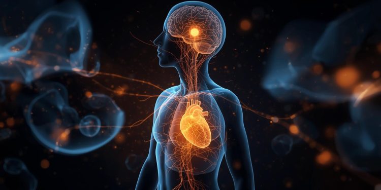 Memória, Corpo e Emoção: Por que nem sempre a história do paciente mostra a raiz do problema