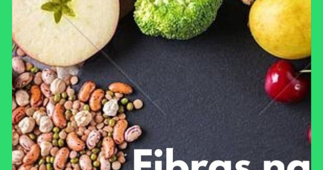 Fibras Alimentares: importância, recomendações e benefícios para a saúde intestinal e metabólica