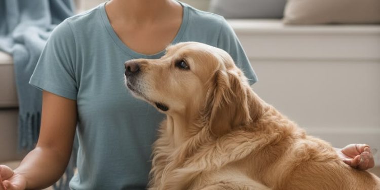 Os animais pressentem algo que nós não conseguimos ver?